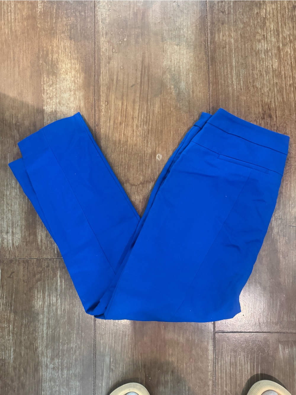 Adrianna Papell women’s Cobalt Blue Dress Pants